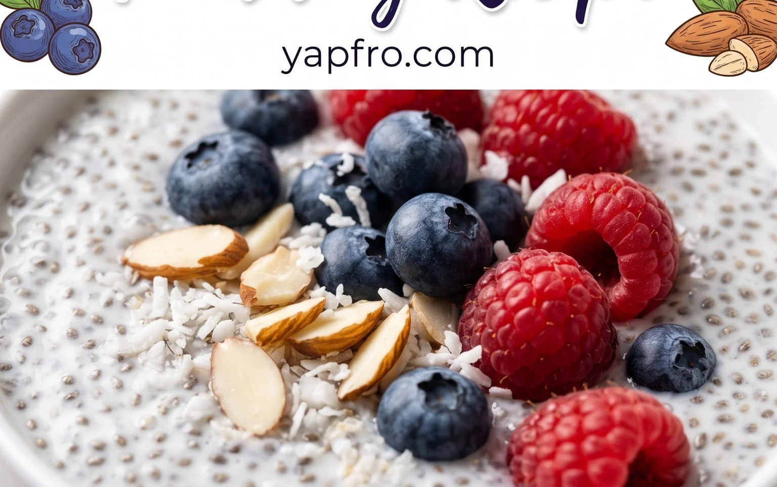 Chia Seed Pudding Recipe